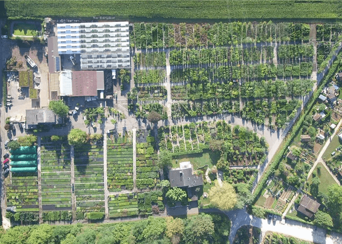 Bottmingen